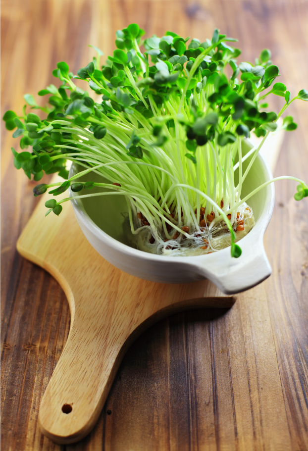 microgreen