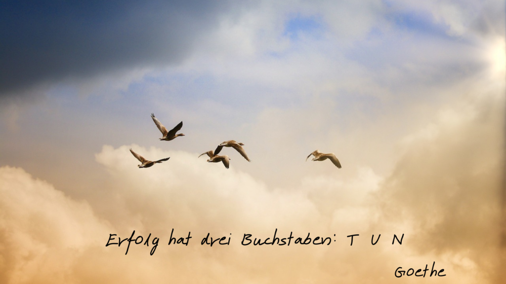 Blog Online Business Banner